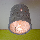 CRW_0792.jpg
