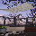 CRW_0792.jpg